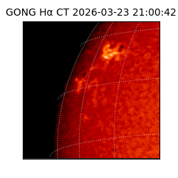 gong - 2026-03-23T21:00:42