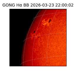 gong - 2026-03-23T22:00:02