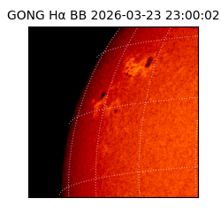 gong - 2026-03-23T23:00:02