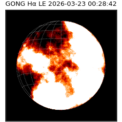 gong - 2026-03-23T00:28:42