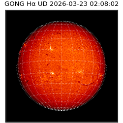 gong - 2026-03-23T02:08:02