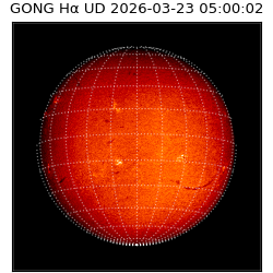 gong - 2026-03-23T05:00:02