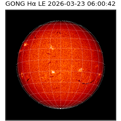 gong - 2026-03-23T06:00:42