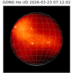 gong - 2026-03-23T07:12:02