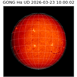 gong - 2026-03-23T10:00:02