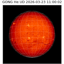 gong - 2026-03-23T11:00:02
