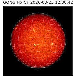 gong - 2026-03-23T12:00:42