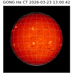 gong - 2026-03-23T13:00:42