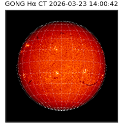 gong - 2026-03-23T14:00:42
