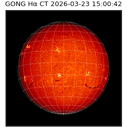 gong - 2026-03-23T15:00:42