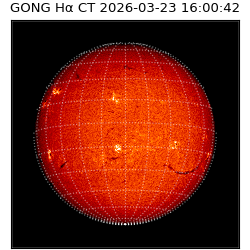 gong - 2026-03-23T16:00:42