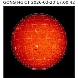 gong - 2026-03-23T17:00:42