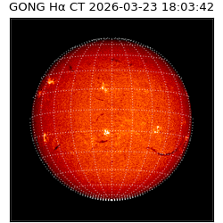 gong - 2026-03-23T18:03:42
