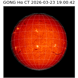 gong - 2026-03-23T19:00:42