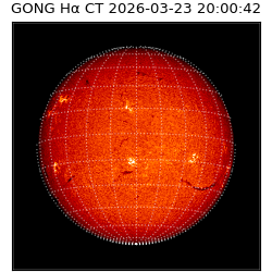 gong - 2026-03-23T20:00:42