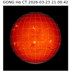 gong - 2026-03-23T21:00:42