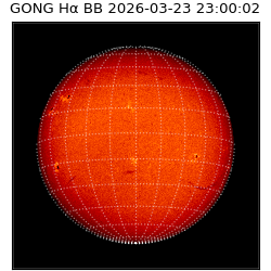 gong - 2026-03-23T23:00:02