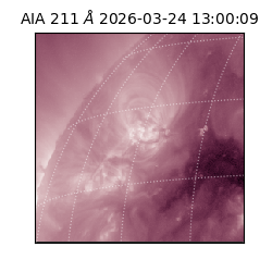 saia - 2026-03-24T13:00:09.621000