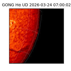 gong - 2026-03-24T07:00:02
