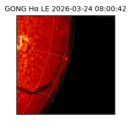 gong - 2026-03-24T08:00:42