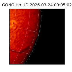 gong - 2026-03-24T09:05:02