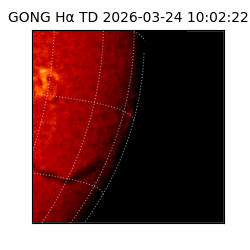 gong - 2026-03-24T10:02:22