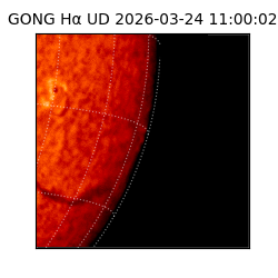 gong - 2026-03-24T11:00:02