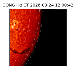 gong - 2026-03-24T12:00:42