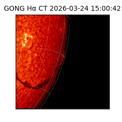 gong - 2026-03-24T15:00:42