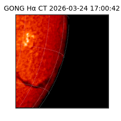 gong - 2026-03-24T17:00:42