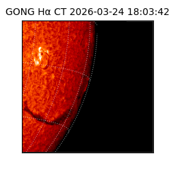 gong - 2026-03-24T18:03:42