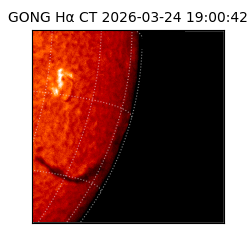 gong - 2026-03-24T19:00:42