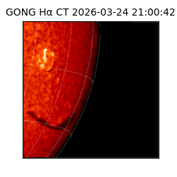 gong - 2026-03-24T21:00:42