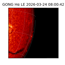 gong - 2026-03-24T08:00:42