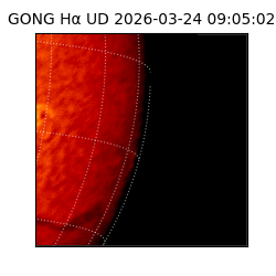 gong - 2026-03-24T09:05:02