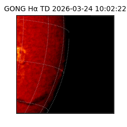 gong - 2026-03-24T10:02:22