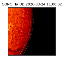 gong - 2026-03-24T11:00:02
