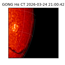 gong - 2026-03-24T21:00:42