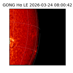 gong - 2026-03-24T08:00:42