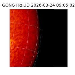 gong - 2026-03-24T09:05:02
