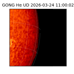 gong - 2026-03-24T11:00:02