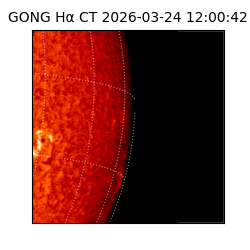 gong - 2026-03-24T12:00:42