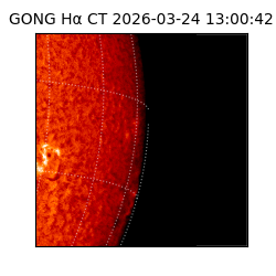 gong - 2026-03-24T13:00:42
