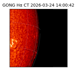 gong - 2026-03-24T14:00:42