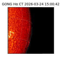gong - 2026-03-24T15:00:42