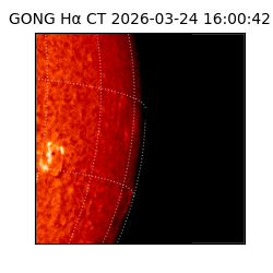 gong - 2026-03-24T16:00:42