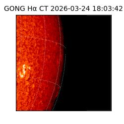 gong - 2026-03-24T18:03:42