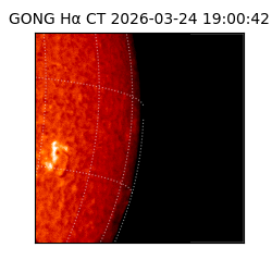 gong - 2026-03-24T19:00:42