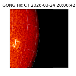 gong - 2026-03-24T20:00:42