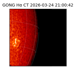 gong - 2026-03-24T21:00:42